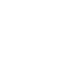 Manon Kooijmans Vlinder White